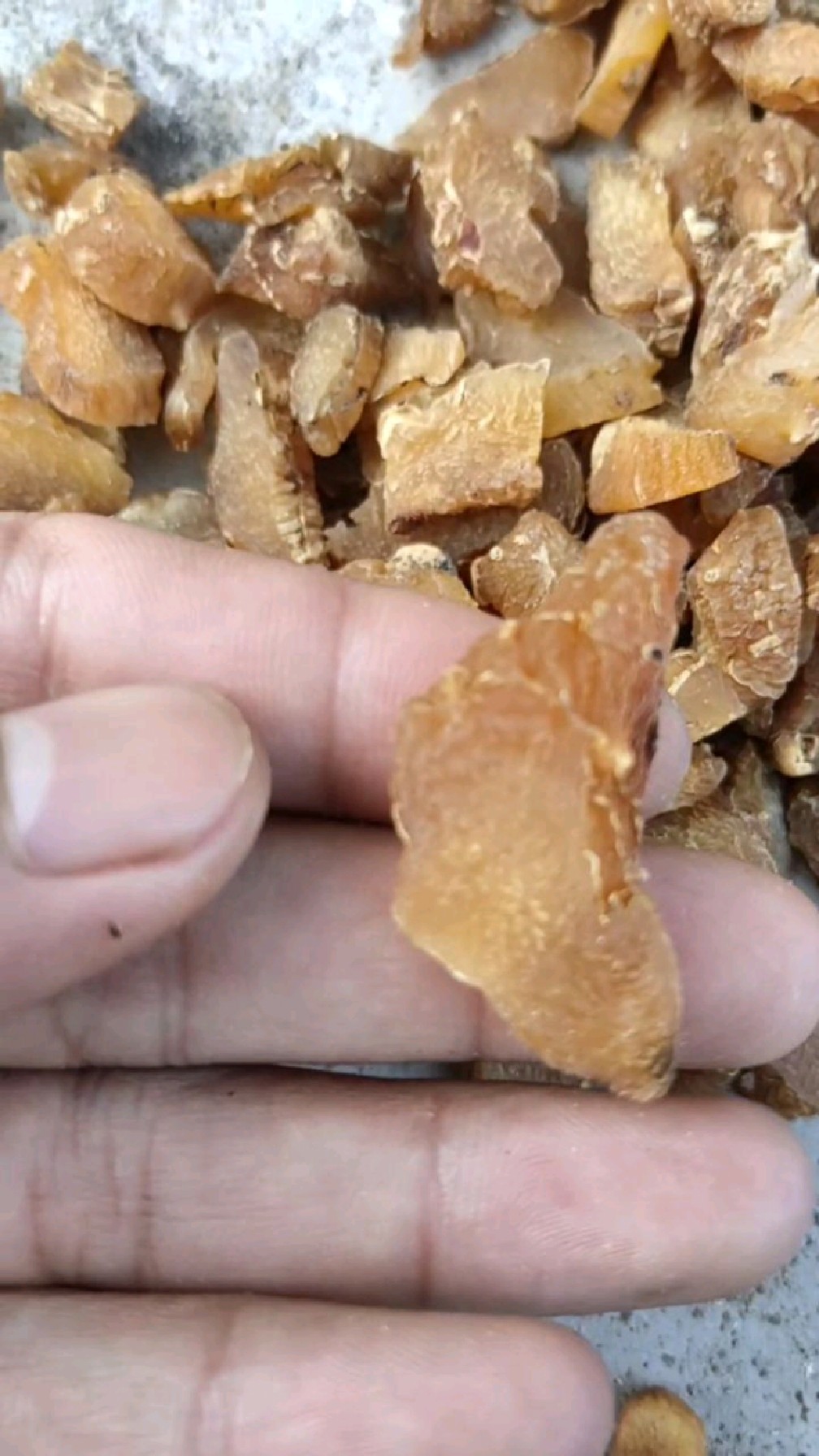 野生鸡头黄精还是做成切片方便泡水喝