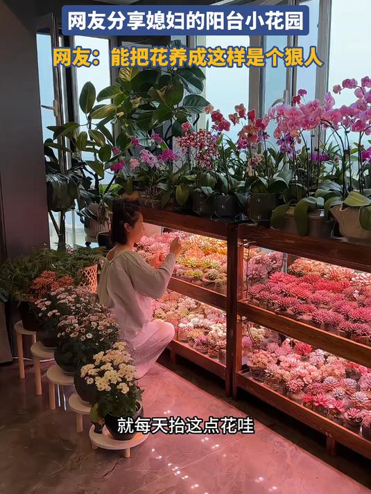 近距离看看多肉吧,网友分享媳妇的阳台小花园