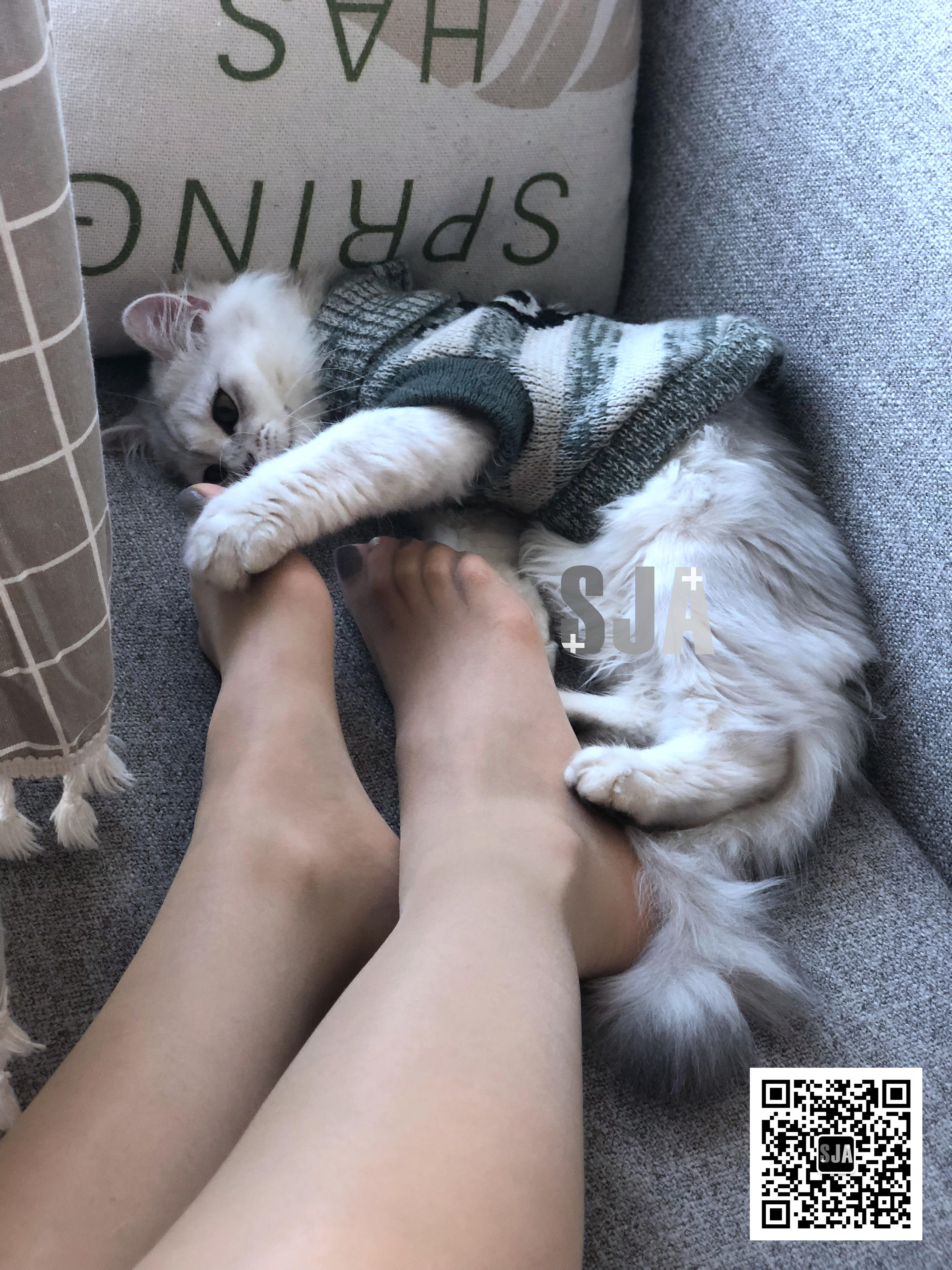 图片[36]-[SJA佳爷]闺蜜视角 NO.013 喵 [60P+81M]-六色网
