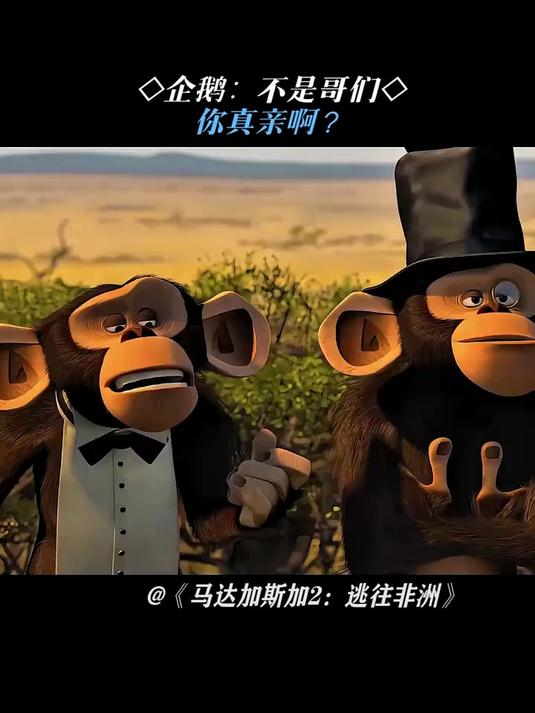 企鹅:不是哥们,你真亲啊?