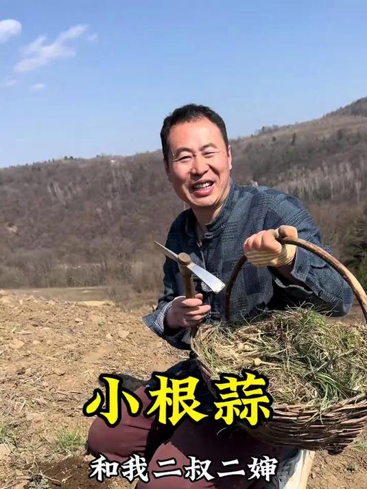 东北大酱蘸一切，又到了挖野菜的季节了