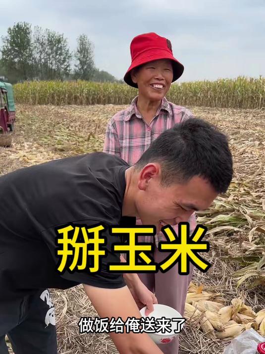 今天上地掰玉米，玉米有个很好的广告语：因为刚好＂玉＂见你，为你着＂米＂生活不止诗和远方