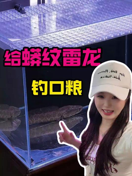钓到什么蟒纹雷龙雷龙吃什么，急！这野钓的鱼喂之前要不要消杀一下啊