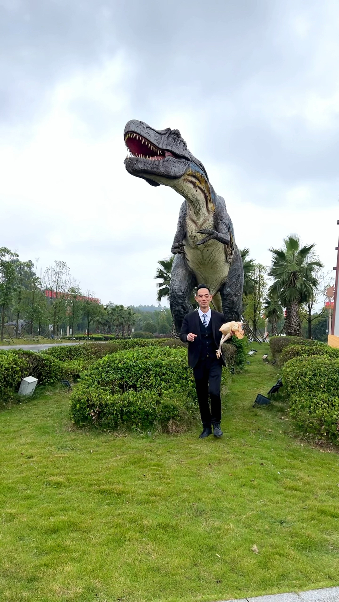 川菜家常小炒#小煎鸡 在家简单几步就能做出家乡美味!