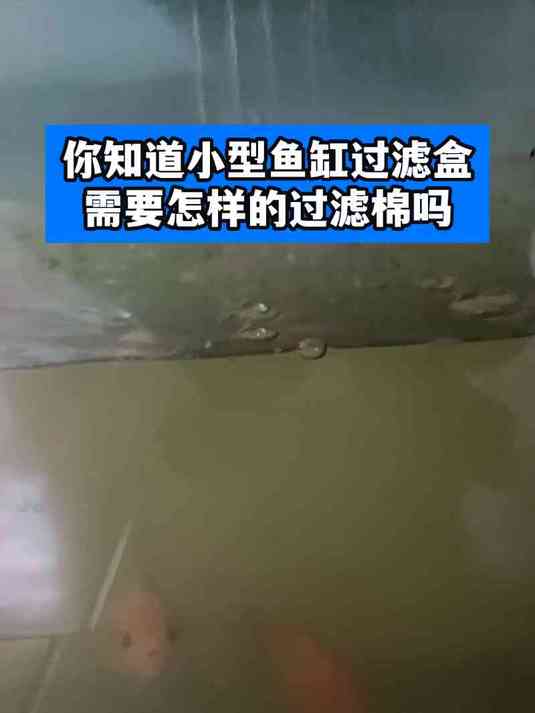 你知道小型鱼缸过滤盒需要怎样的过滤棉吗