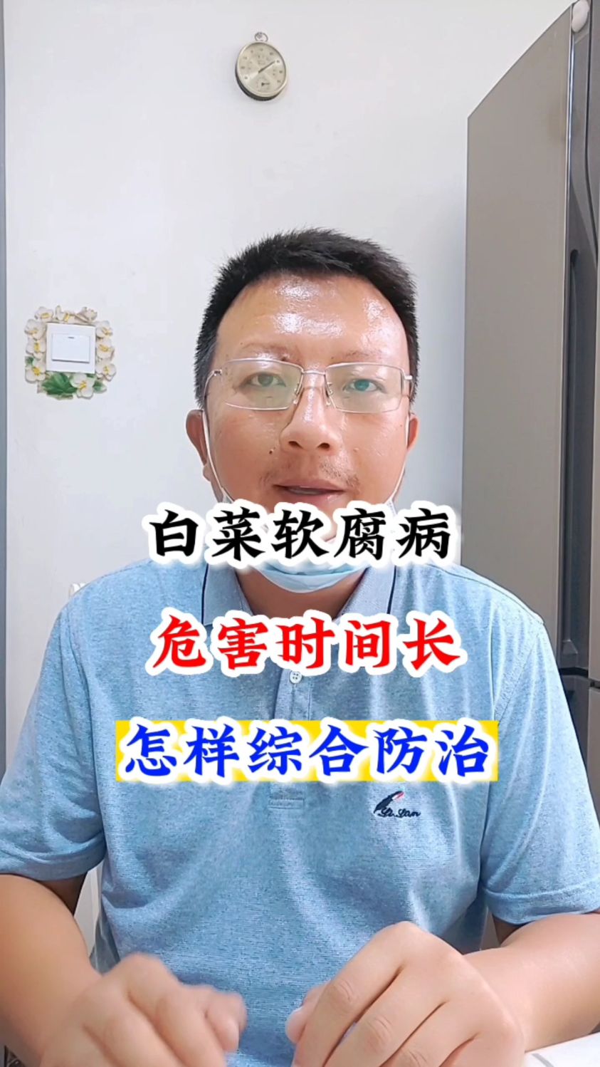 白菜软腐病,危害时间很长,怎样综合防治?