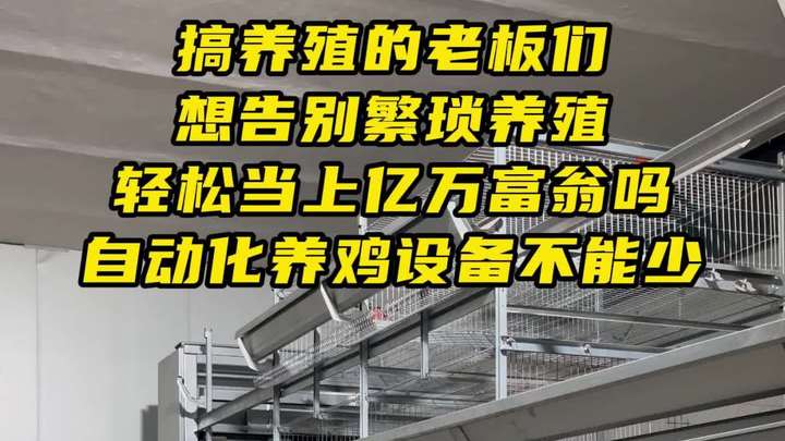 自动化养鸡设备不能少