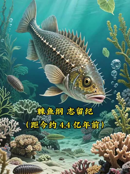 鲨鱼演化全纪录：从远古到如今