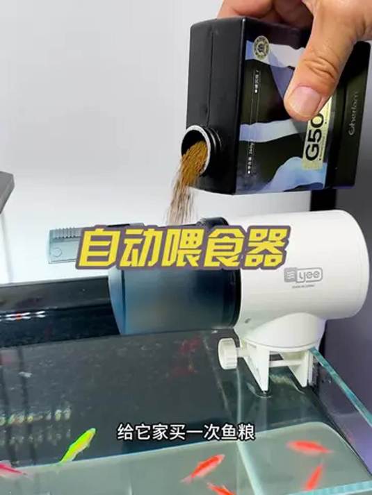 放假出游别愁!自动喂食器让鱼儿不挨饿,超方便