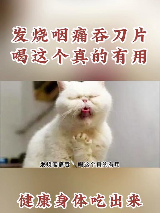 养生科普:发烧咽痛吞刀片喝这个真的有用!