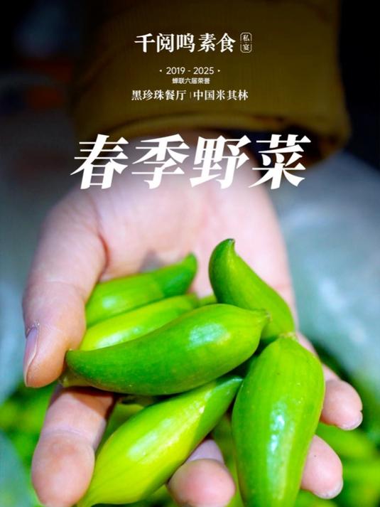 这一口下去,全是春天的味道,黑珍珠餐厅总厨带你寻野菜,包包子