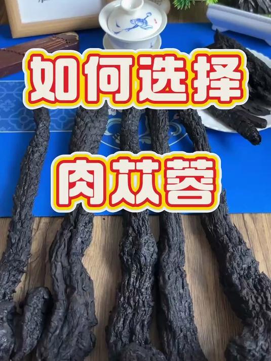 肉苁蓉,你知道如何选择吗