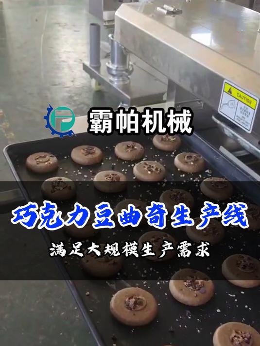 霸帕机械巧克力豆曲奇生产线