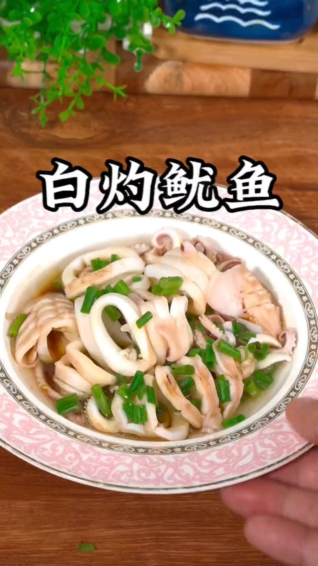 天天美食分享一道家常菜菜白灼鱿鱼详细做法教程