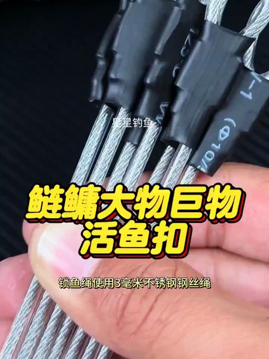 活鱼扣 抽鲢鳙钓大鱼,活鱼扣比鱼护好用太多,鱼不容易翻白