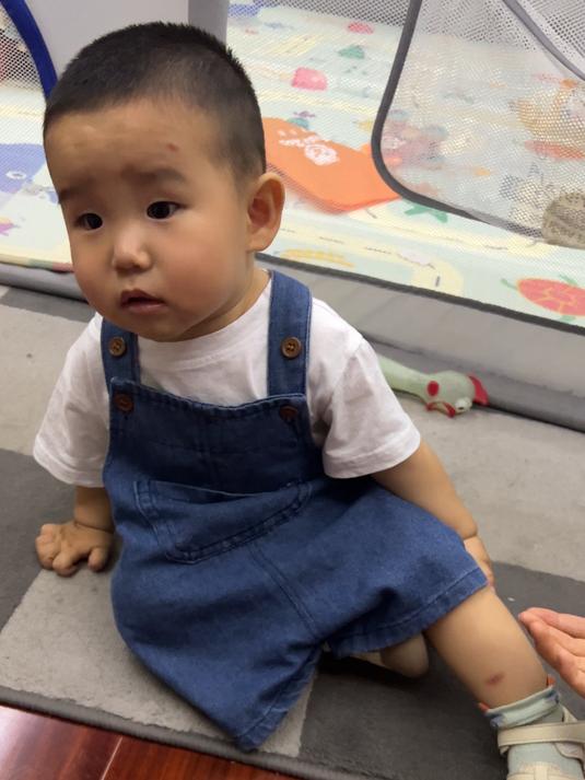 小鱼儿自己没站稳摔了一跤,爸爸耐心开导他