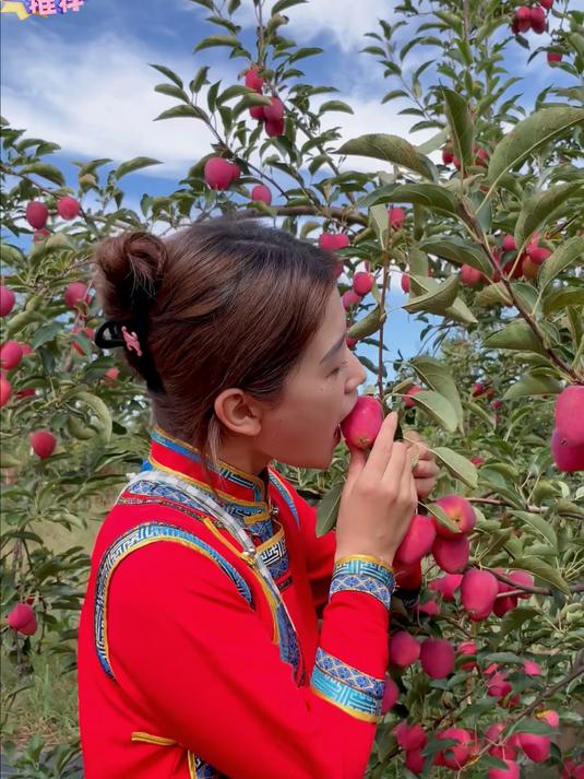 东北鸡心果脆甜多汁小苹果嘎嘎好吃味儿贼正