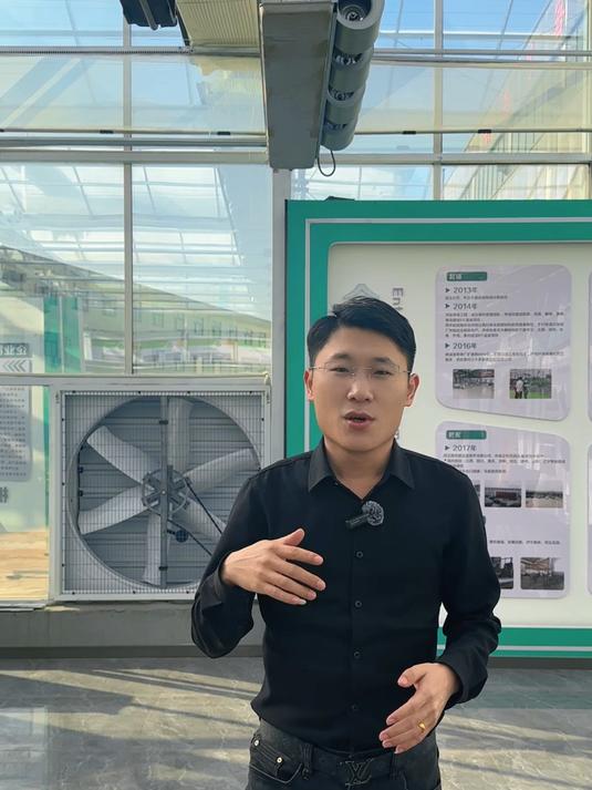 蔬菜无土栽培设施玻璃温室大棚建设