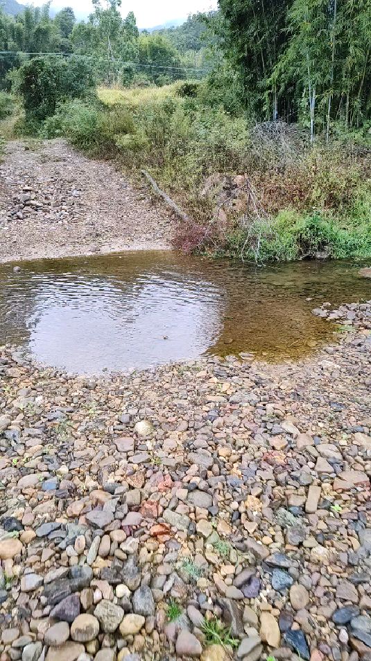 小山村清澈的河流,河里都有很多小鱼