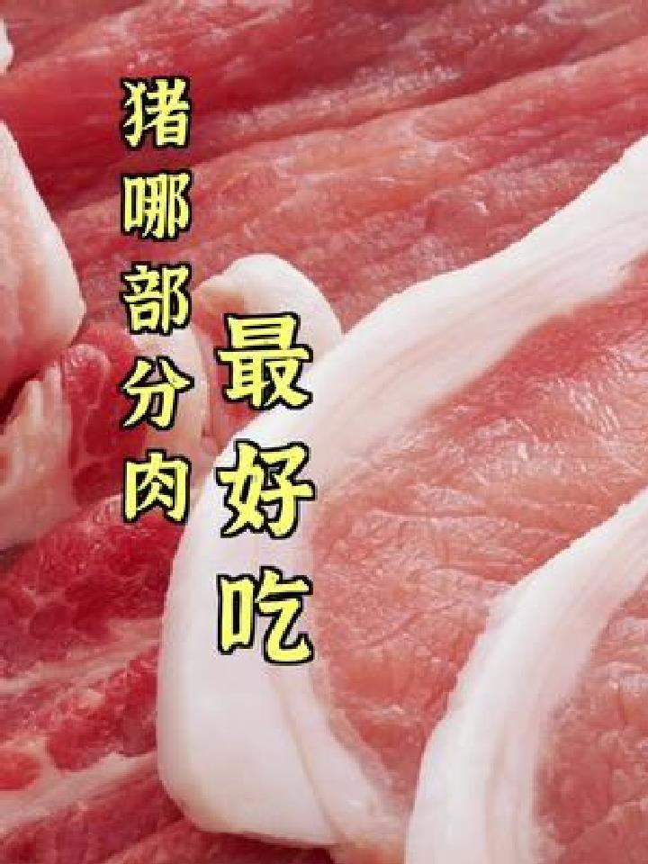 猪身上哪部分肉最好吃?各部分肉都做什么菜?看了这条视频就