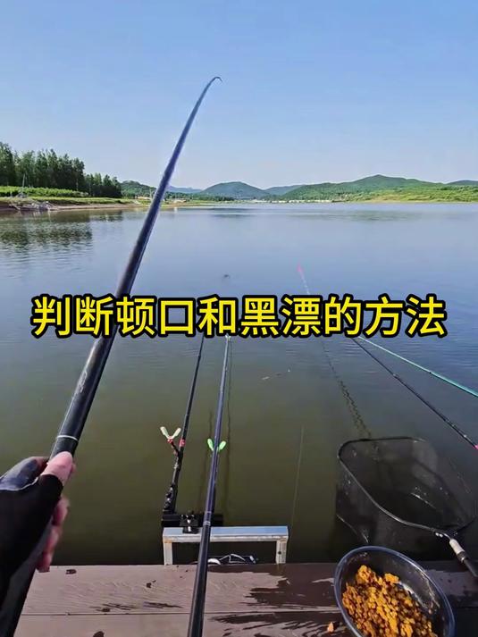 顿口黑漂分不清？3秒教会你识别鱼咬钩真信号