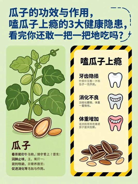 瓜子的功效与作用，嗑瓜子上瘾的3大健康隐患，看完你还敢一把一把地吃吗？#健康扬帆季#