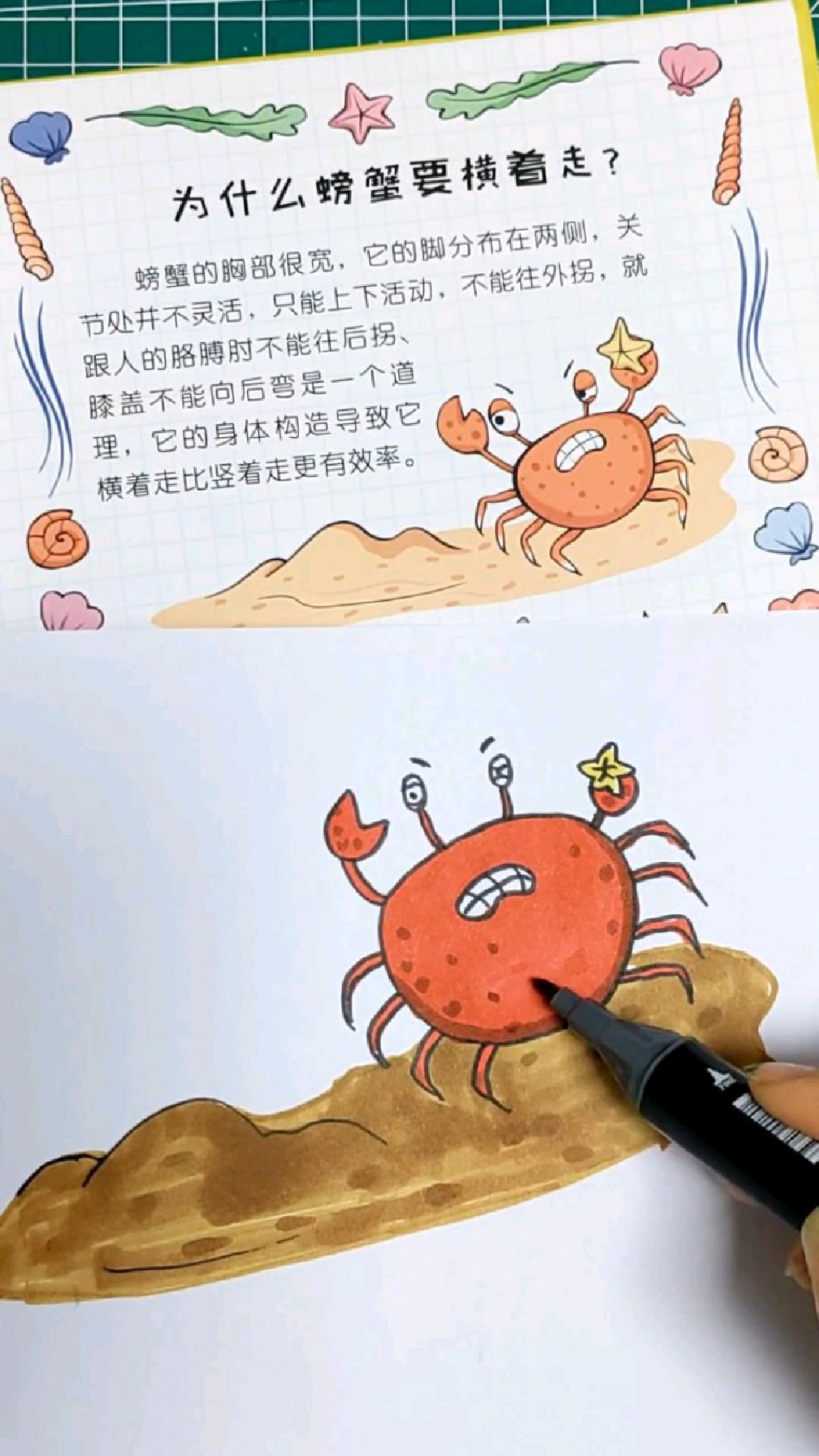 创意简笔画螃蟹,儿童画,少儿创意美术,为什么螃蟹要横着走