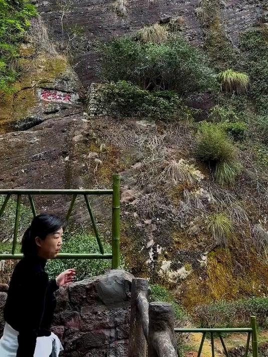 武夷山岩茶最难理解的山场,看这一条就够了