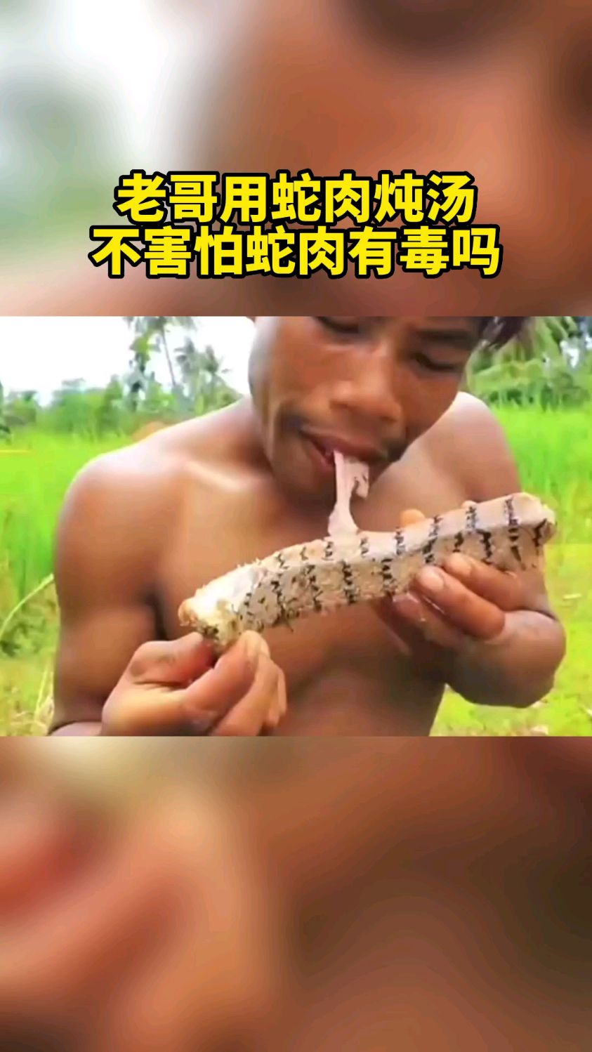 老哥用蛇肉炖汤,吃得真是太香了,不害怕蛇肉有毒吗