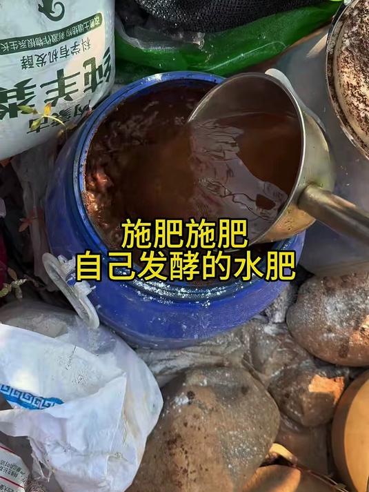 自己发酵的菜籽饼肥,一毛钱不用花,轻松给菜园施肥