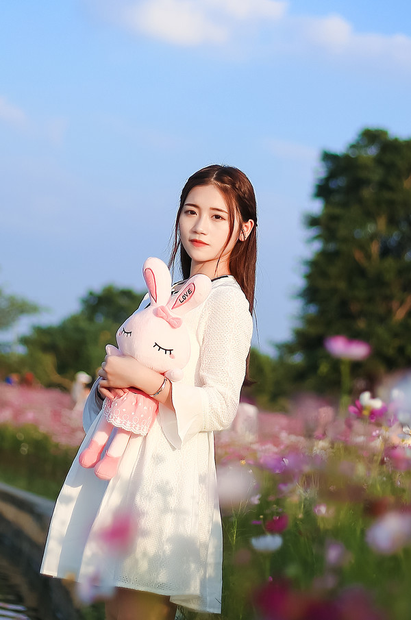 图片[23]-格桑花-六色网