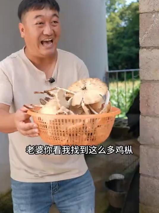 鸡枞用来做什么,那必须配上走地鸡,调料都不用放!