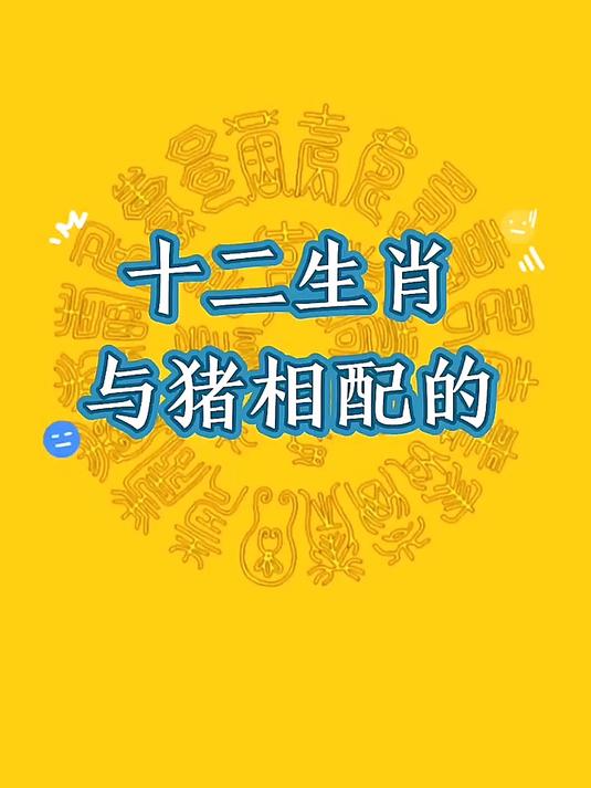 跟属相猪最相配的是哪几个十二生肖生肖传统文化