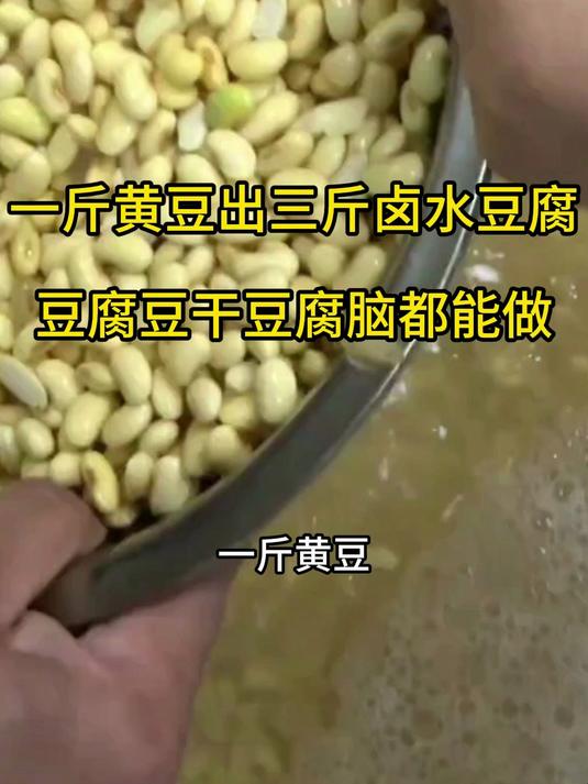 豆腐豆干豆腐脑都能做,一台豆腐机解决