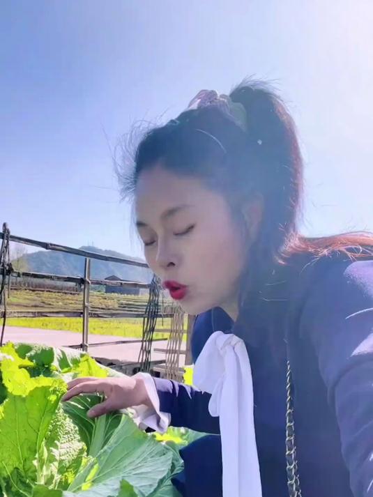 我们这里有种菜,它的名字有点怪,叫儿菜,生儿的儿菜