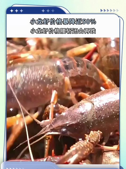 随着气温不断攀升，小龙虾消费逐渐进入旺季。在小龙虾主产区湖南省益阳市南县，各大小龙虾收购点
