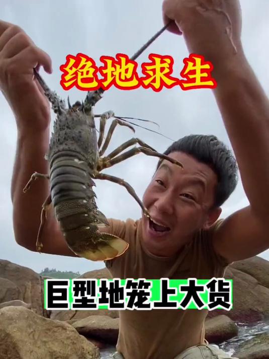 弄的巨大地笼，终于上货了！