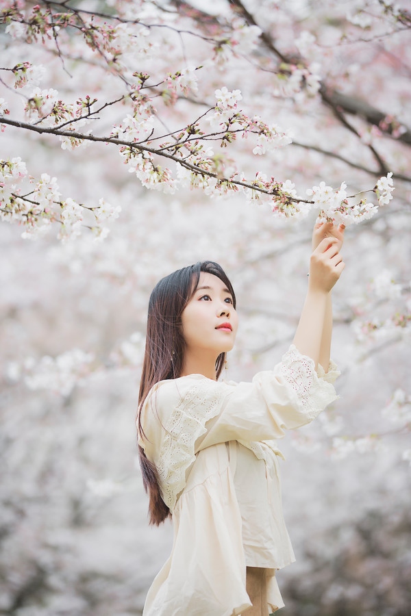 图片[17]-三生三世，百里樱花-六色网
