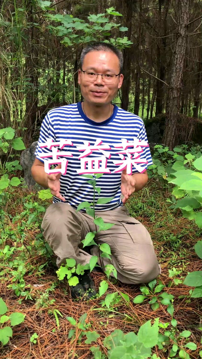野菜界的“榴莲”,你们吃过吗?