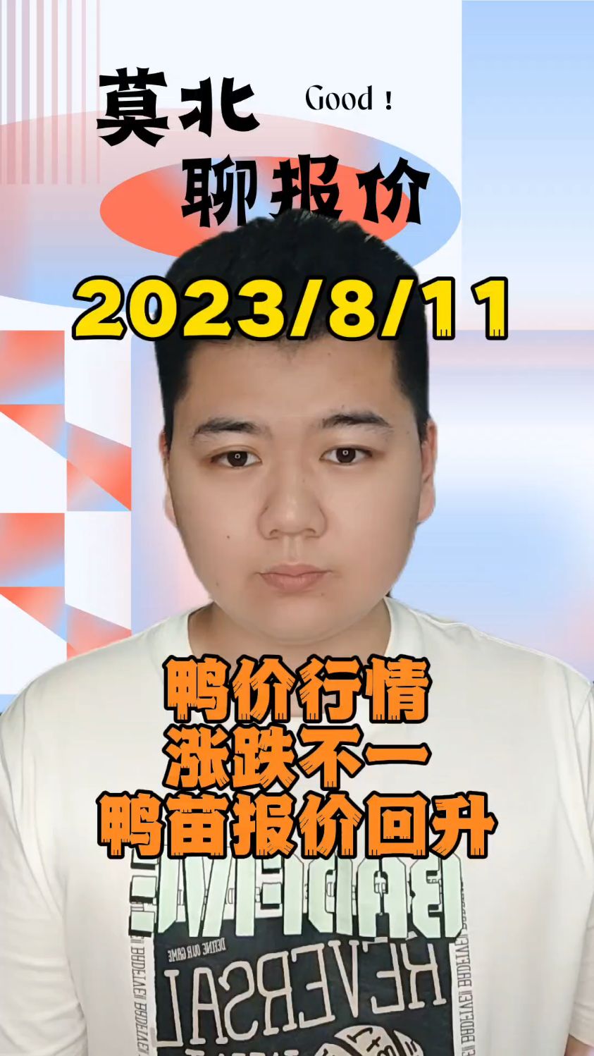 8月11号最新鸭价,白鸭苗继续回升,北方上涨1毛,南方上涨2毛,目前鸭苗最高报价4.07
