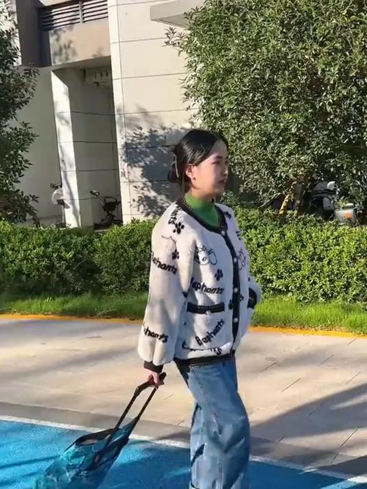 折叠购物车超市买菜拉杆拖轮拉车购物袋便携手拉包可折叠家用轮子