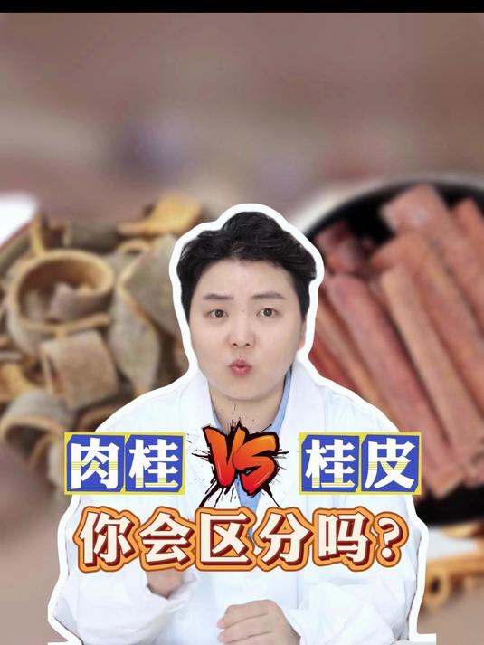 肉桂vs桂皮,你会区分吗?
