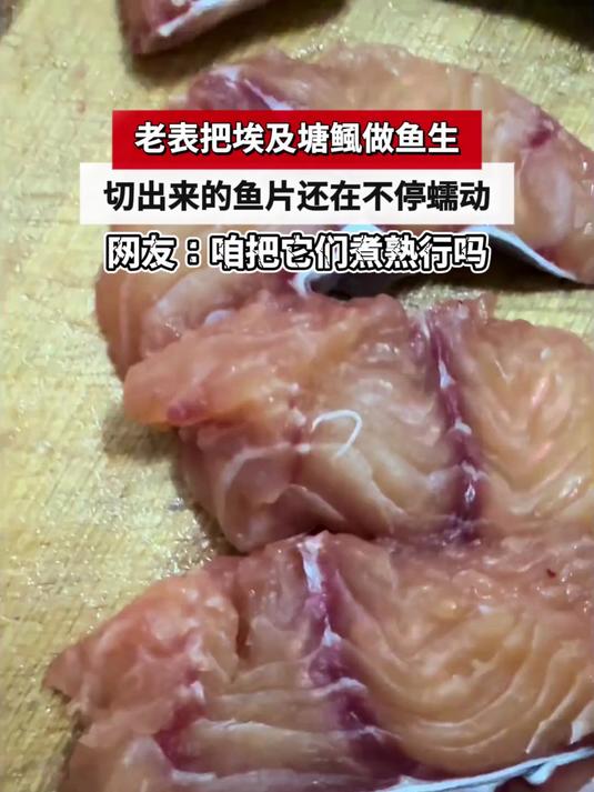 老表把埃及塘鲺做鱼生,切出来的鱼片还在不停蠕动