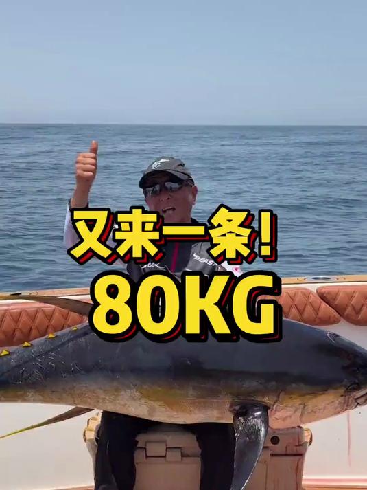 又来一条80kg黄鳍金枪鱼!肾上腺飙升的一天!