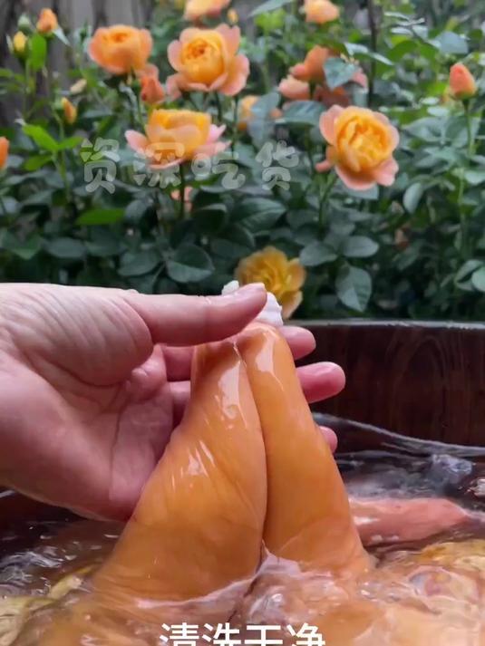 买了几条乌鱼，做个营养美味的乌鱼子 ~