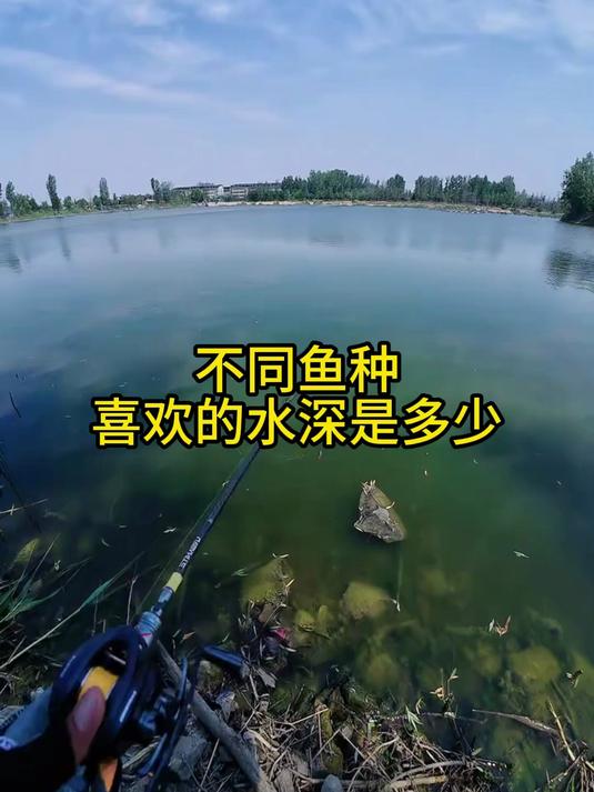钓友必备知识，不同鱼类活跃的最佳水深深度