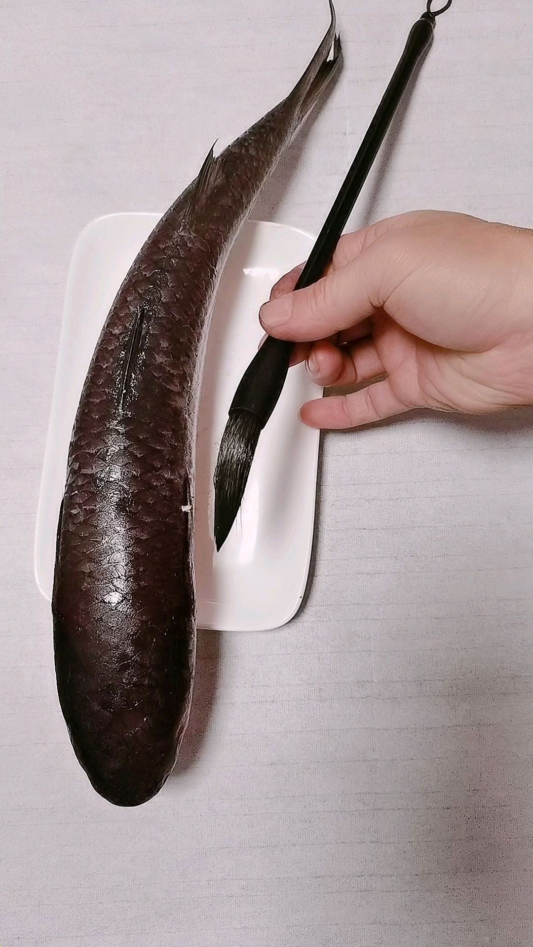 教你画梭鱼国画