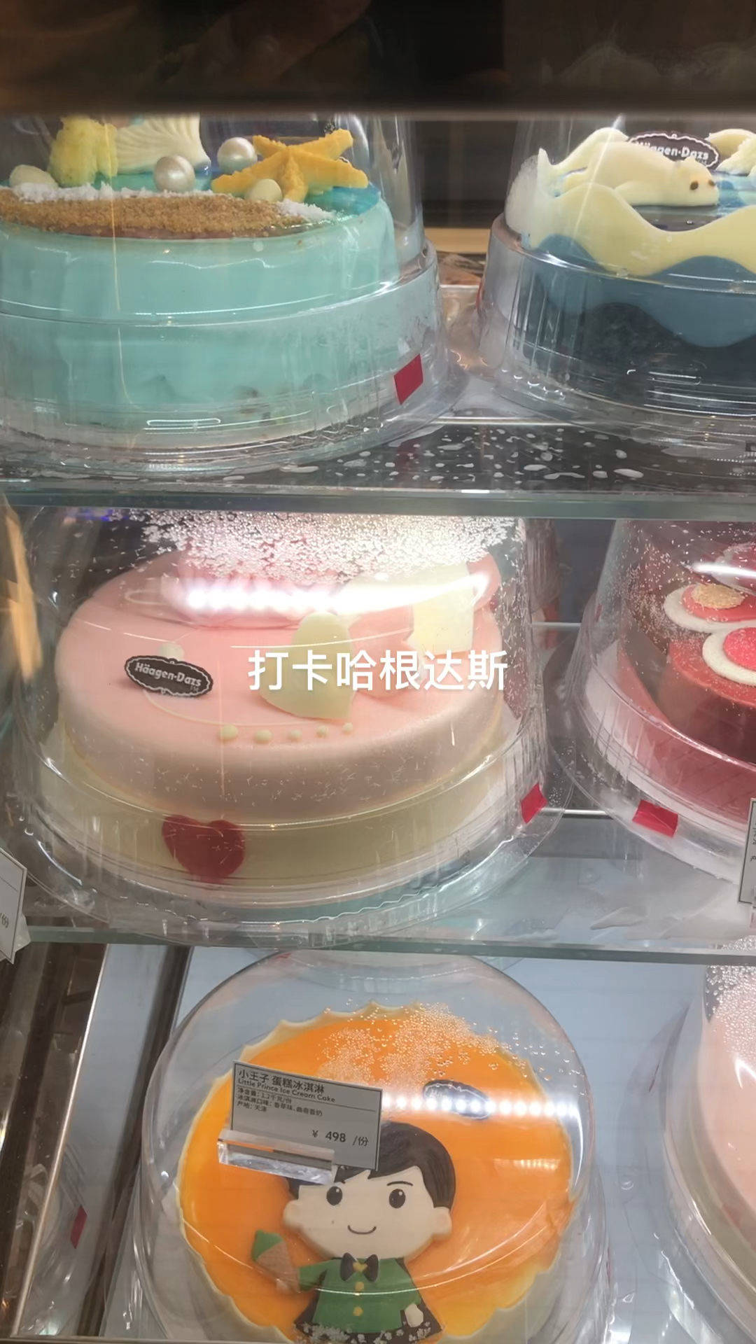 打卡哈根达斯蛋糕店看着就想吃
