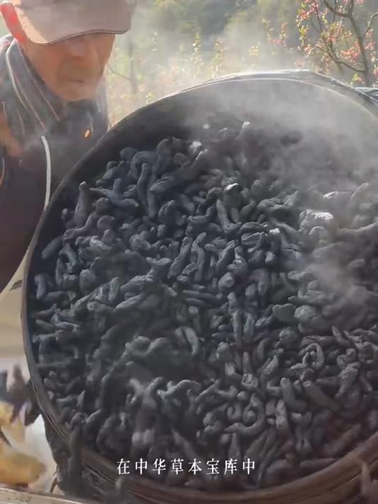 古法九制,太行山鸡头黄精#健康扬帆季#
