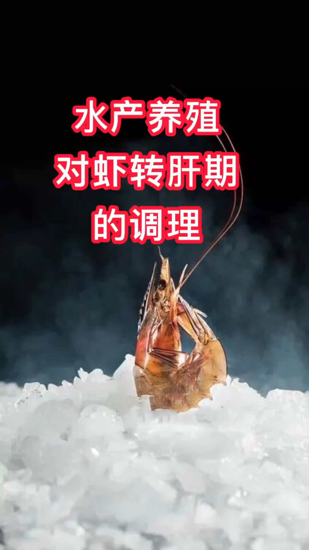 水产养殖小知识—对虾转肝期的调理